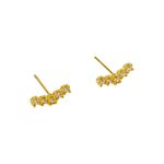 Brinco Lola- banho ouro 18k