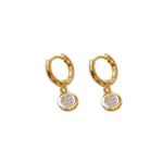 Argola Brille- banho ouro 18k