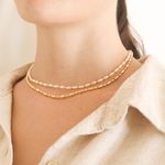 Choker Nantes- banho ouro 18k