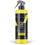 PERFUME INTELIGENTE BOOST SCENT CITRUS CAR COLLECTION 500ML (16313)