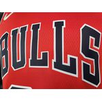 Chicago Bulls Silk Lavine 8 Especial 75 Anos