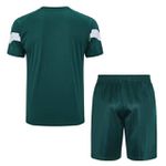 Conjunto Treino Camisa + Short Palmeiras 23/24 - Verde