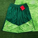 Conjunto Treino Regata + Short Palmeiras 24/25 - Verde