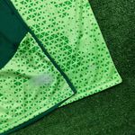 Conjunto Treino Regata + Short Palmeiras 24/25 - Verde