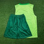 Conjunto Treino Regata + Short Palmeiras 24/25 - Verde