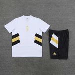 Conjunto de treino Camisa + Short Juventus 23/24 - Masculino