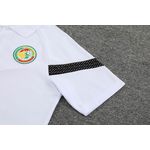 Conjunto Treino Polo Senegal 22/23 Camisa + Calça - Masculino