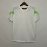 Camisa Palmeiras Treino 23/24 Branco/Verde