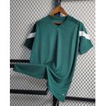CAMISA PALMEIRAS TREINO 23/24 - TORCEDOR MASCULINA VERDE ESCURO