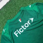 Camisa Palmeiras Home I 26/27 – Verde – Puma – Jogador 