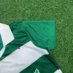 Camisa Palmeiras Fourth Iv 25/26 - Verde - FEMININA 