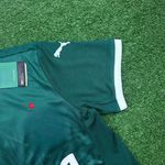 Camisa modelo Palmeiras I 22/23 Torcedor Masculina Verde