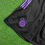 Conjunto Treino Regata + Short Bayern de Munique23/24 Preto/verde/roxo