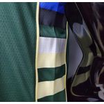 Nba Milwaukee silk (jogador) Giannis Antetokounmpo 34 - Verde