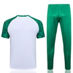 Conjunto Treino Camisa + Calça Palmeiras 23/24 - Branco/verde