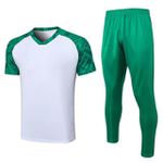 Conjunto Treino Camisa + Calça Palmeiras 23/24 - Branco/verde