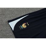 Conjunto De Treino França 24/25 - Azul Claro