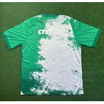 Camisa Palmeiras Edição Especial - 2024/25