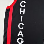 NBA Chicago Bulls DeMar DeRozan #11 Swingman Jersey - City Edition 2023/24 - SILK