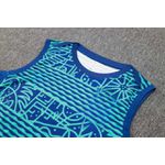 Conjunto Treino Regata E Short Brasil 2024/25