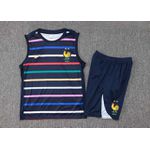 Conjunto Treino Regata e Short FRANÇA 24/25 - Colorido