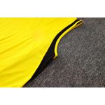 Conjunto Treino Flamengo Regata e Short 2024/25 - Amarelo/Preto (BORDADO)