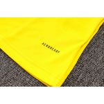 Conjunto Treino Flamengo Regata e Short 2024/25 - Amarelo/Preto (BORDADO)