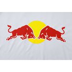 Conjunto Treino Leipzig Red Bull Regata + Short 2023/24
