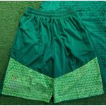 Conjunto Treino Regata + Short Palmeiras 24/25 - Verde Escuro