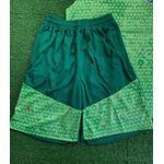 Conjunto Treino Regata + Short Palmeiras 24/25 - Verde