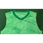 Conjunto Treino Regata + Short Palmeiras 24/25 - Verde