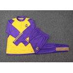 AGASALHO TREINO REAL MADRID 2023/24 MEIO ZÍPER - AMARELO/ROXO
