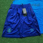 Conjunto Treino Grêmio Regata e Short 2024/25