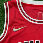 NBA Chicago Bulls Rodman #91 - 75 ANOS - Vermelha