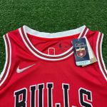 Chicago Bulls Scottie Pippen #33 - Edição 75 Anos - Vermelha