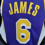 NBA Los Angeles Lakers Silk - James 6 - Especial 75 Anos Roxa