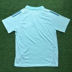 Camisa Polo Cruzeiro 25/26 silkado - Branco/Azul - Masculina Torcedor