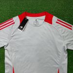 Camisa Internacional Treino 25/26 - Cinza - Torcedor Masculina
