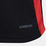 Camisa Internacional Treino 25/26 - Preta - Torcedor Masculina