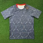 Camisa "Soberano" Treino 25/26 - Cinza - Torcedor Masculina Bordada