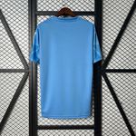 Camisa Palmeiras Goleiro I 25/26 - Azul - Torcedor Masculina
