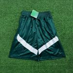 Short Palmeiras - Verde