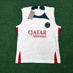 (MANCHADA) Regata Psg 23/24 (ESCUDO DOURADO)