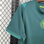 Camisa Nigéria Away II 25/26 - Verde - Torcedor Masculina