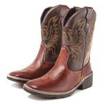 Bota Texana Country Masculina Cano Longo Marrom