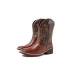 Bota Texana Country Masculina Cano Longo Marrom