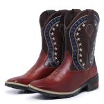 Bota Texana Country Masculina Cano Longo Marrom