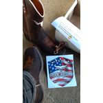 BOTA TEXANA COUNTRY MASCULINA BORDADA BOI REPLICA SNIKER