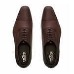 Sapato Social Oxford Harris - Nescau