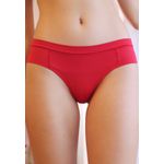 Kit 3 Calcinhas Vermelho, Azul Marinho e Chocolate em Microfibra - DIVERSOS